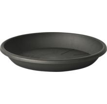 Soucoupe pour plantes