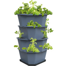 Jardinière étagée avec plants de pommes de terre