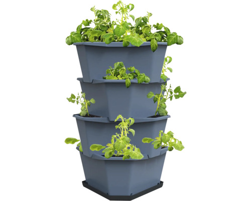 Jardinière étagée avec plants de pommes de terre