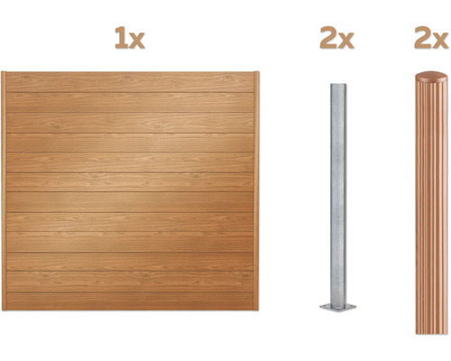 Panneau de clôture en bois avec deux poteaux métalliques