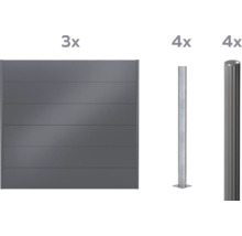 Trois éléments de clôture et quatre poteaux de clôture pour la clôture de jardin