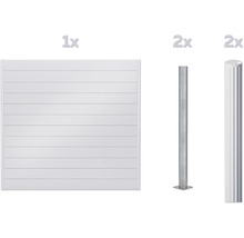 Élément de clôture et deux poteaux de clôture pour l'aménagement du jardin