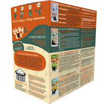 Lucky Lou Katzenfutter für erwachsene Katzen, 6 Beutel mit vier verschiedenen Sorten