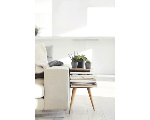 Petite table d'appoint en bois avec trois pieds à côté d'un canapé, avec trois petites plantes en pot et une pile de magazines.