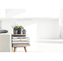 Table d'appoint en bois avec trois petites plantes d'intérieur dans des pots gris et une pile de magazines dans un salon lumineux.