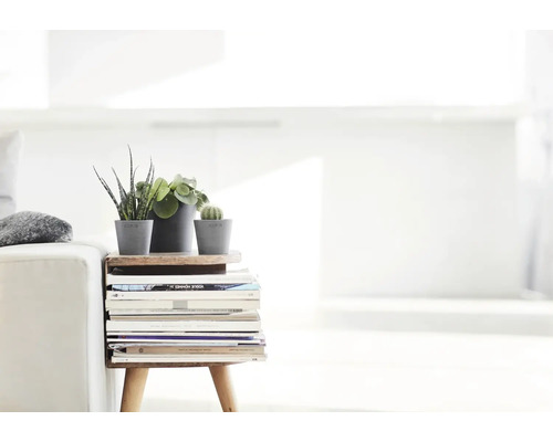 Table d'appoint en bois avec trois petites plantes d'intérieur dans des pots gris et une pile de magazines dans un salon lumineux.