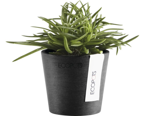 Grüne Zimmerpflanze in einem anthrazitfarbenen Ecopots Pflanzkübel aus recyceltem Kunststoff.