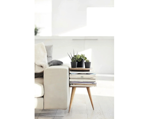Helles Wohnzimmer mit hellem Sofa und einem hölzernen Beistelltisch mit Zeitschriften und drei kleinen Topfpflanzen.
