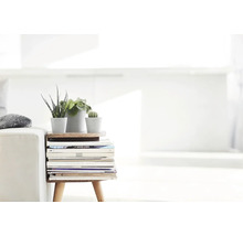 Kleiner Beistelltisch aus Holz mit Zeitschriftenstapel und drei verschiedenen Zimmerpflanzen in Töpfen neben einem hellen Sofa.