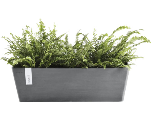 Jardinière rectangulaire Ecopots anthracite en plastique recyclé avec fougères vertes.