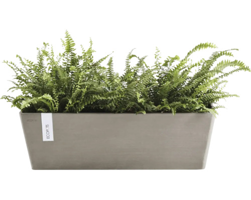 Jardinière rectangulaire ECOPOTS garnie de fougères vertes.