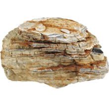 Pierre de stratification décorative pour le jardin