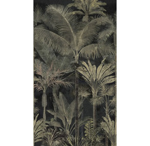 Papier peint avec motif de jungle tropicale, différents palmiers et grandes feuilles de style vintage.