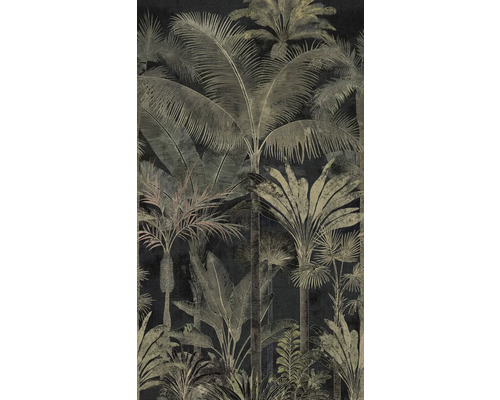 Papier peint avec motif de jungle tropicale, différents palmiers et grandes feuilles de style vintage.