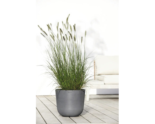 Moderner grauer Ecopots Pflanzkübel mit hohem Ziergras auf einer hellen Holzterrasse vor einer weißen Wand und Gartenmöbeln.