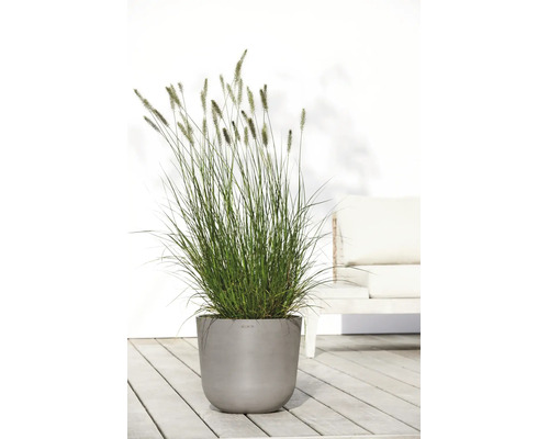 Hohes Ziergras in einem grauen runden Pflanzkübel auf einer hellen Holzterrasse mit Gartenmöbeln.