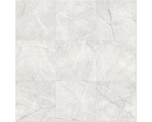 Neuf carreaux clairs avec aspect marbre