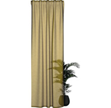 Gardine mit Faltenband und Zimmerpflanze im Topf