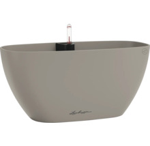 Pot de fleurs Lechuza avec indicateur de niveau d'eau