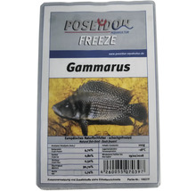 Poseidon Freeze Gammarus Fischfutter