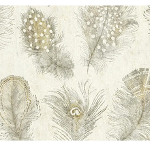 Papier peint avec un motif de plumes détaillé présentant différents types de plumes comme des plumes à pois et des plumes de paon.