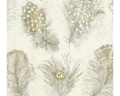 Papier peint avec un motif de plumes détaillé présentant différents types de plumes comme des plumes à pois et des plumes de paon.