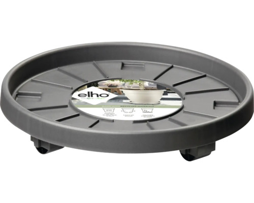 Pflanzenroller aus Kunststoff mit Rollen