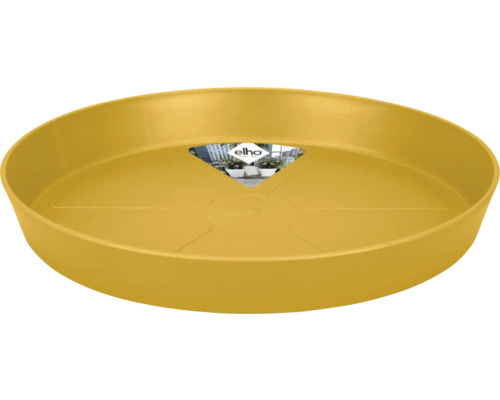 Gelber Untersetzer für Pflanzentöpfe