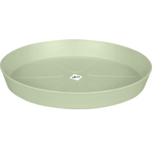 Pflanzenuntersetzer aus Kunststoff