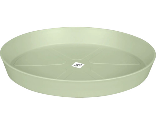 Soucoupe pour plantes en plastique