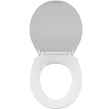 Abattant de WC en céramique sanitaire