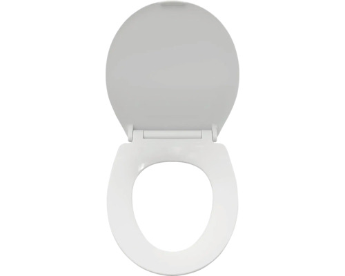 Abattant de WC en céramique sanitaire