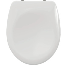 Abattant de WC en céramique sanitaire