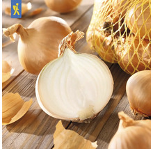 Oignons, certains coupés, sur table en bois