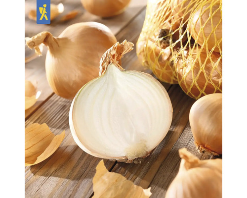 Oignons, certains coupés, sur table en bois