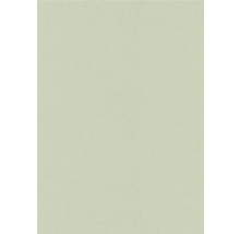 Papier peint de couleur unie