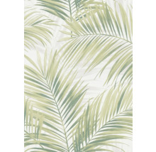 Papier peint à motif de palmier
