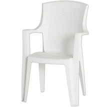 Chaise de jardin en plastique blanc avec accoudoirs et dossier à motifs.