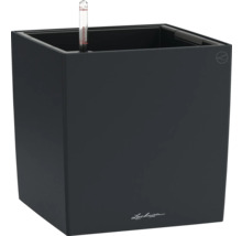 Pot de fleurs Lechuza Cube avec indicateur de niveau d'eau