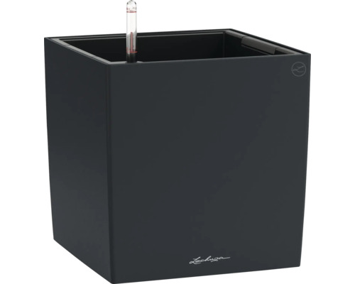 Pot de fleurs Lechuza Cube avec indicateur de niveau d'eau