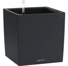 Pot de fleurs carré avec indicateur de niveau d'eau