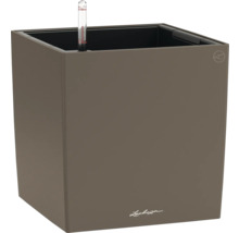 Pot de fleurs Lechuza Cube avec indicateur de niveau d'eau