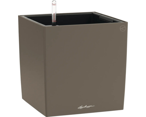 Pot de fleurs Lechuza Cube avec indicateur de niveau d'eau