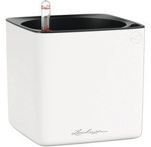 Bac à plantes Lechuza Classico avec indicateur de niveau d'eau