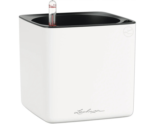 Bac à plantes Lechuza Classico avec indicateur de niveau d'eau