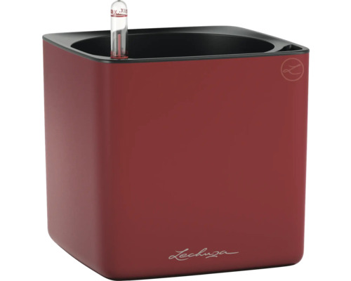 Pot de fleurs carré Lechuza avec indicateur de niveau d'eau