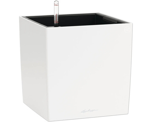 Pot Lechuza Classico avec système d'arrosage