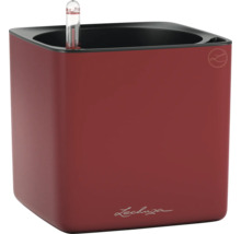 Pot de fleurs Lechuza Classico Color 21 avec système d'arrosage