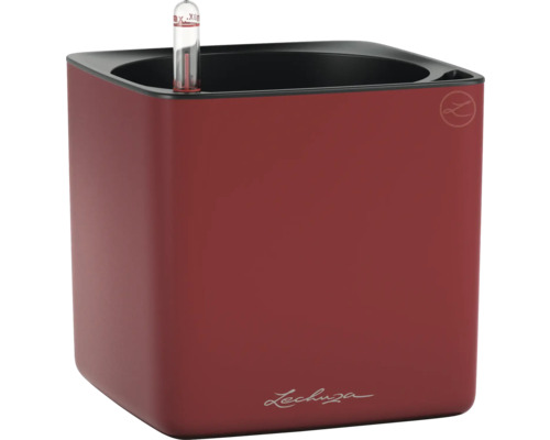 Pot de fleurs Lechuza Classico Color 21 avec système d'arrosage