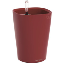Pot Lechuza Classico avec système d'irrigation